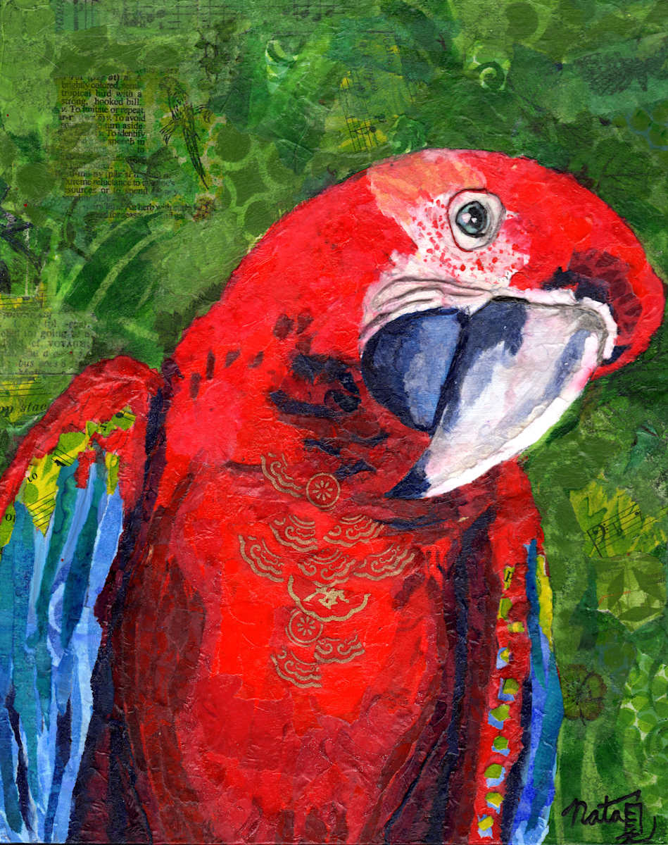 Perico by Poppyfish Studio: The Art of Natasha Monahan Papousek, Image 1.