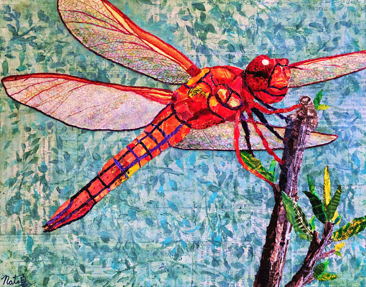 The Red Dragonfly by Poppyfish Studio: The Art of Natasha Monahan Papousek 