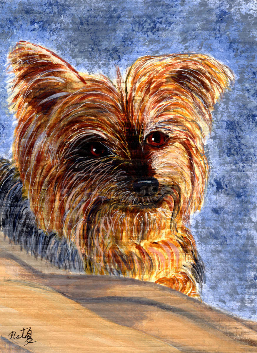 Savy by Natasha Papousek 