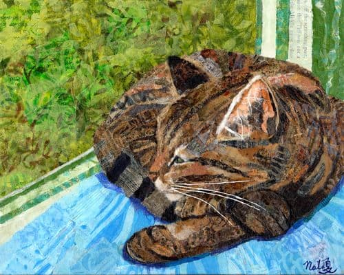 The Sunny Window by Poppyfish Studio: The Art of Natasha Monahan Papousek 