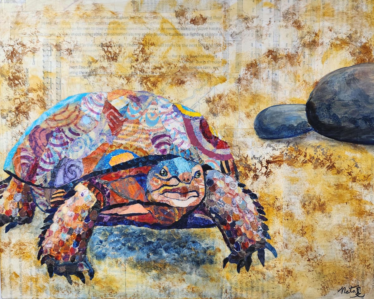 Wild Neighbors: Desert Tortoise by Poppyfish Studio: The Art of Natasha Monahan Papousek  Image: A rare desert tortoise makes its way towards a shady rest.