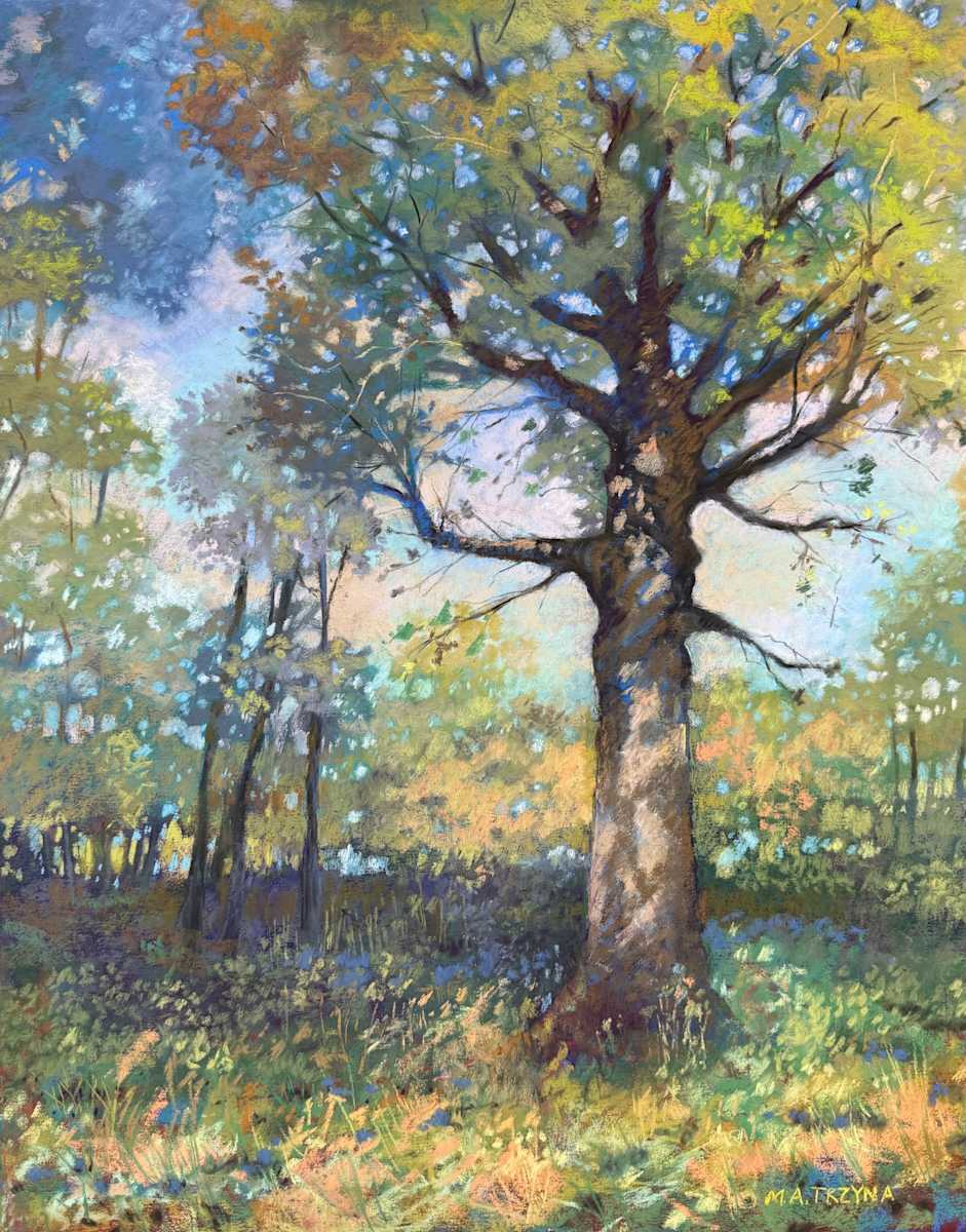 Summer Day in the Woods by Mary Ann Trzyna, Image 1.