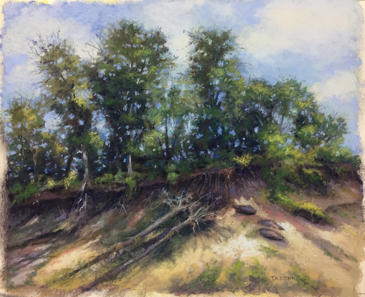 Dune Recession by Mary Ann Trzyna 