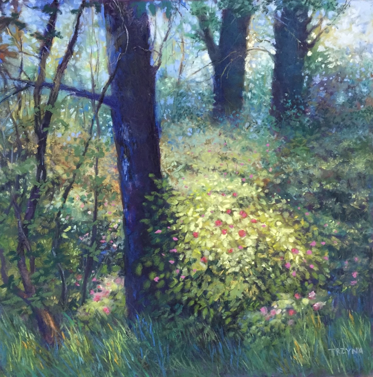 Sunlit Wild Roses by Mary Ann Trzyna 