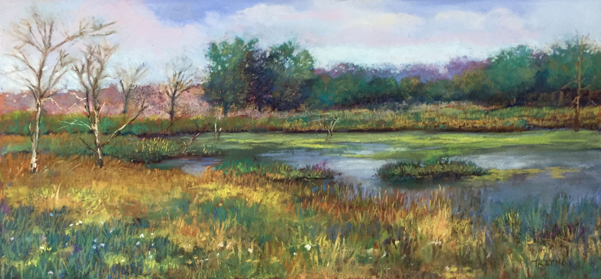 Marsh by Mary Ann Trzyna 