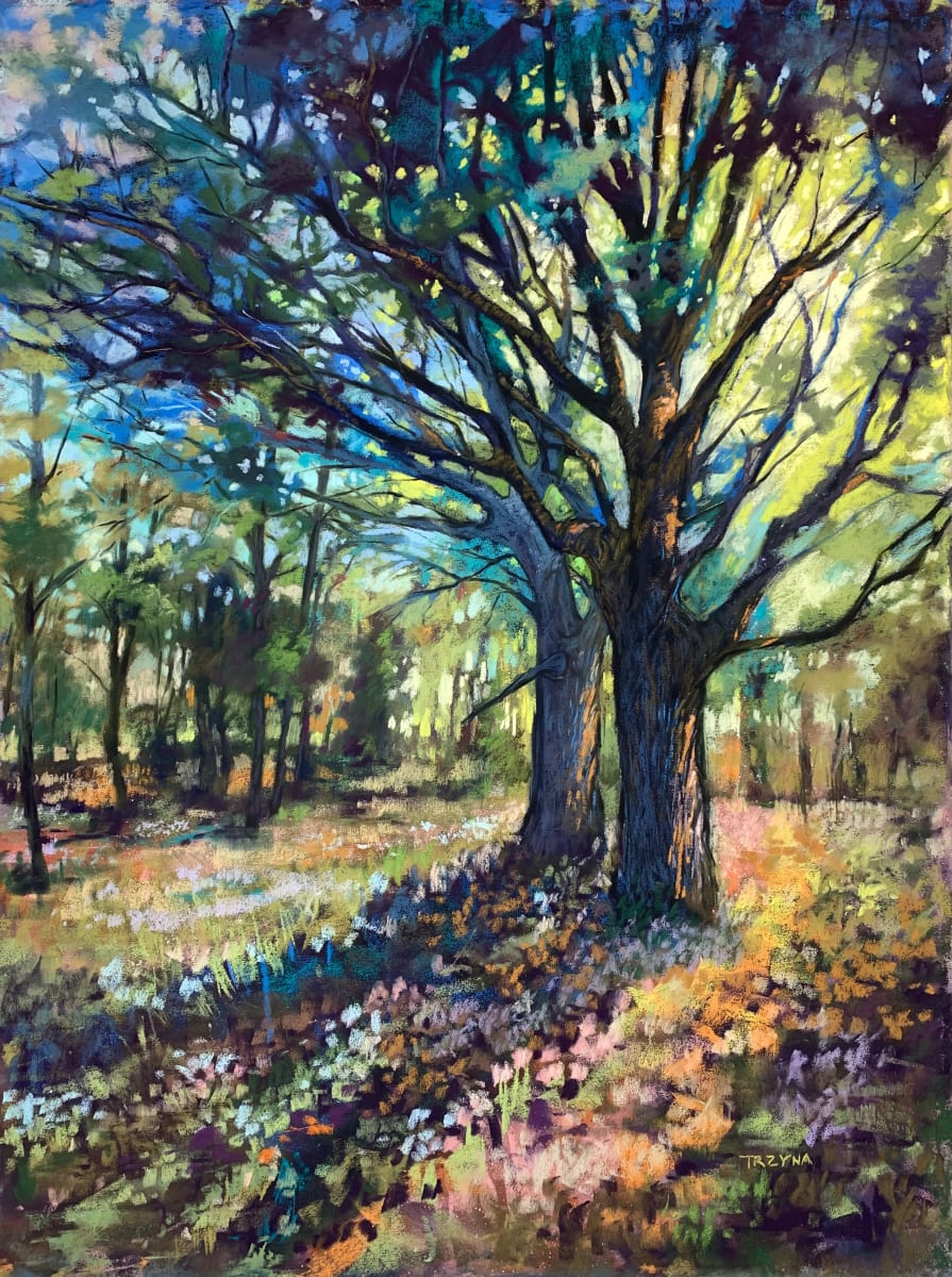 Oak Trees in October Sunlight by Mary Ann Trzyna 