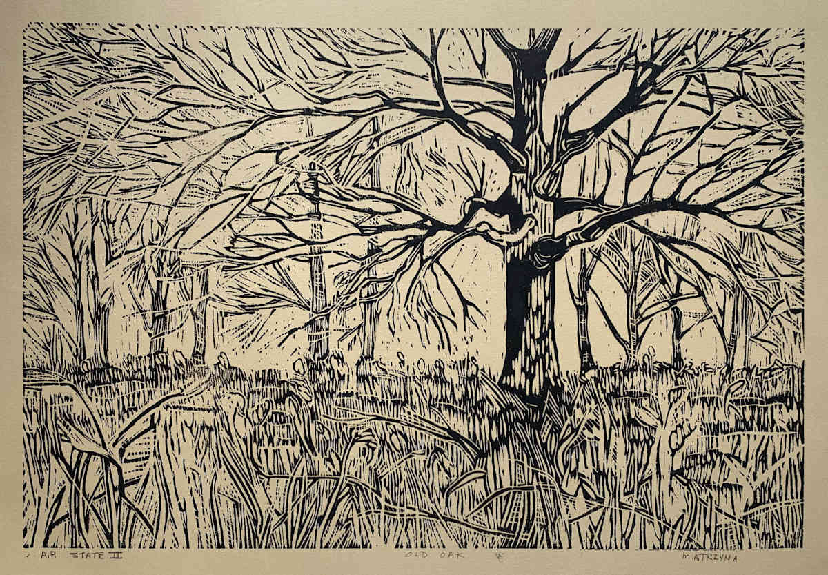 Old Oak by Mary Ann Trzyna, Image 5.