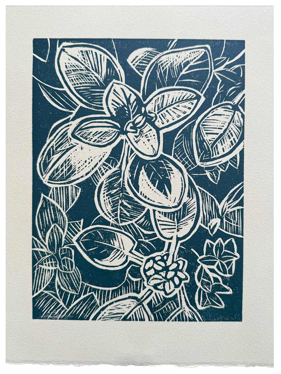 Sage by Mary Ann Trzyna 