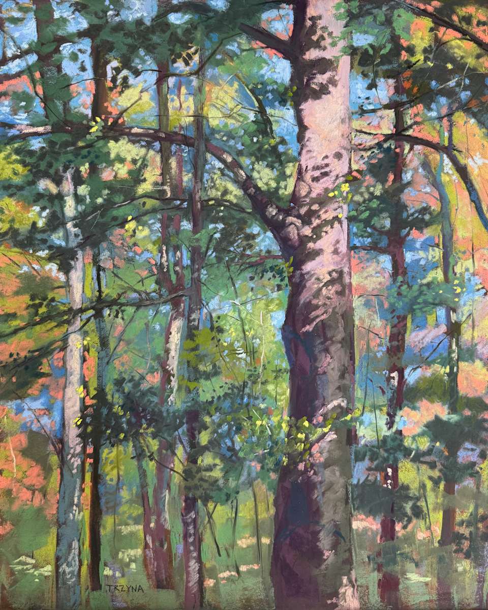 Spring Walk by Mary Ann Trzyna 