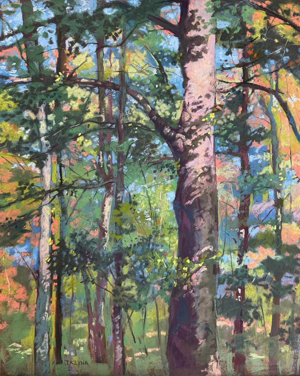 Spring Walk by Mary Ann Trzyna, Image 2.