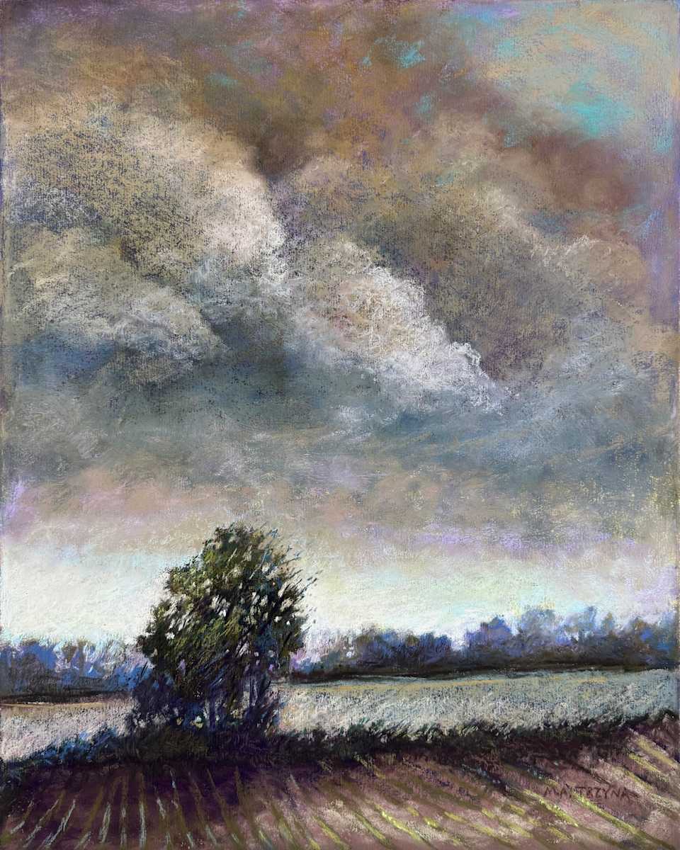 Storm Coming by Mary Ann Trzyna 