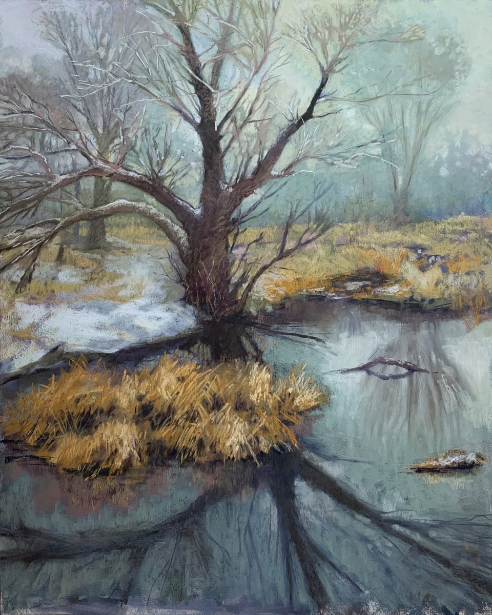 Winter Fog, Wetlands by Mary Ann Trzyna 