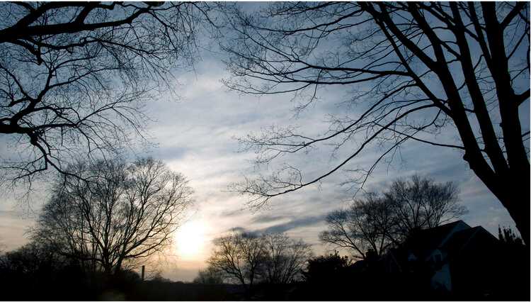 Enchanted Forest 4, Image 1.