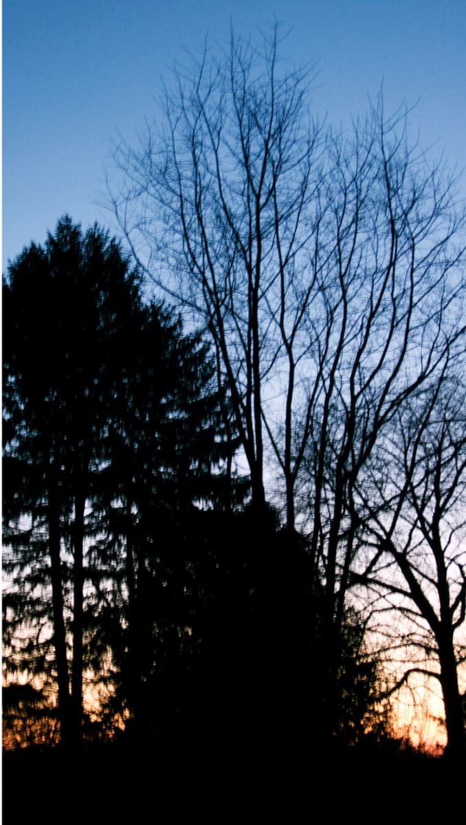 Enchanted Forest 10 
