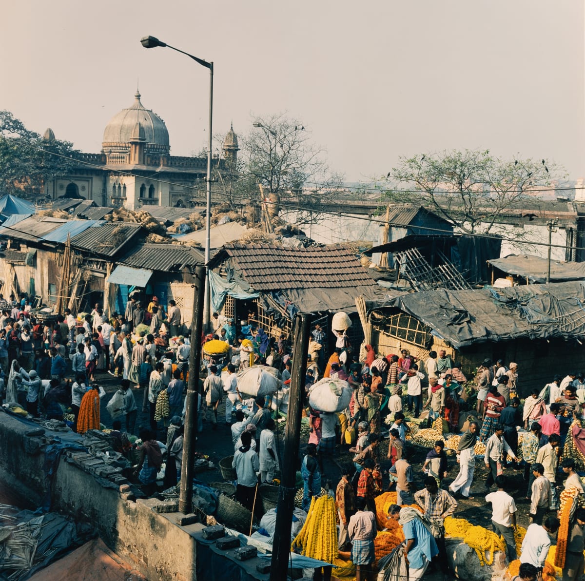 Morning Market (Calcutta, India) by Amie Potsic 