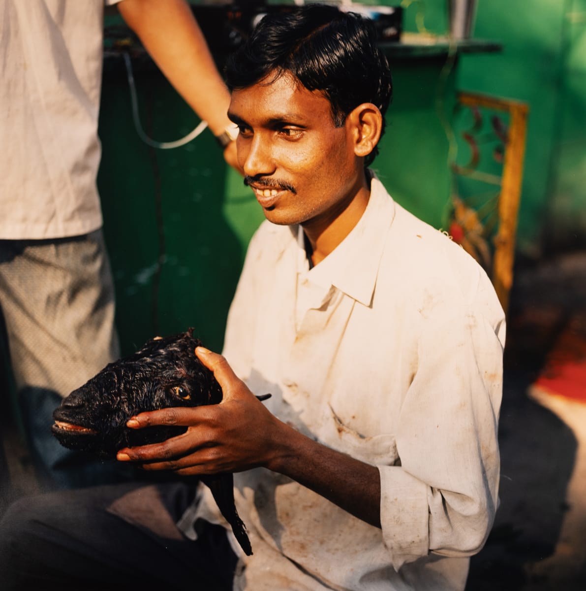 Sacrifice (Hyderabad, India) by Amie Potsic 