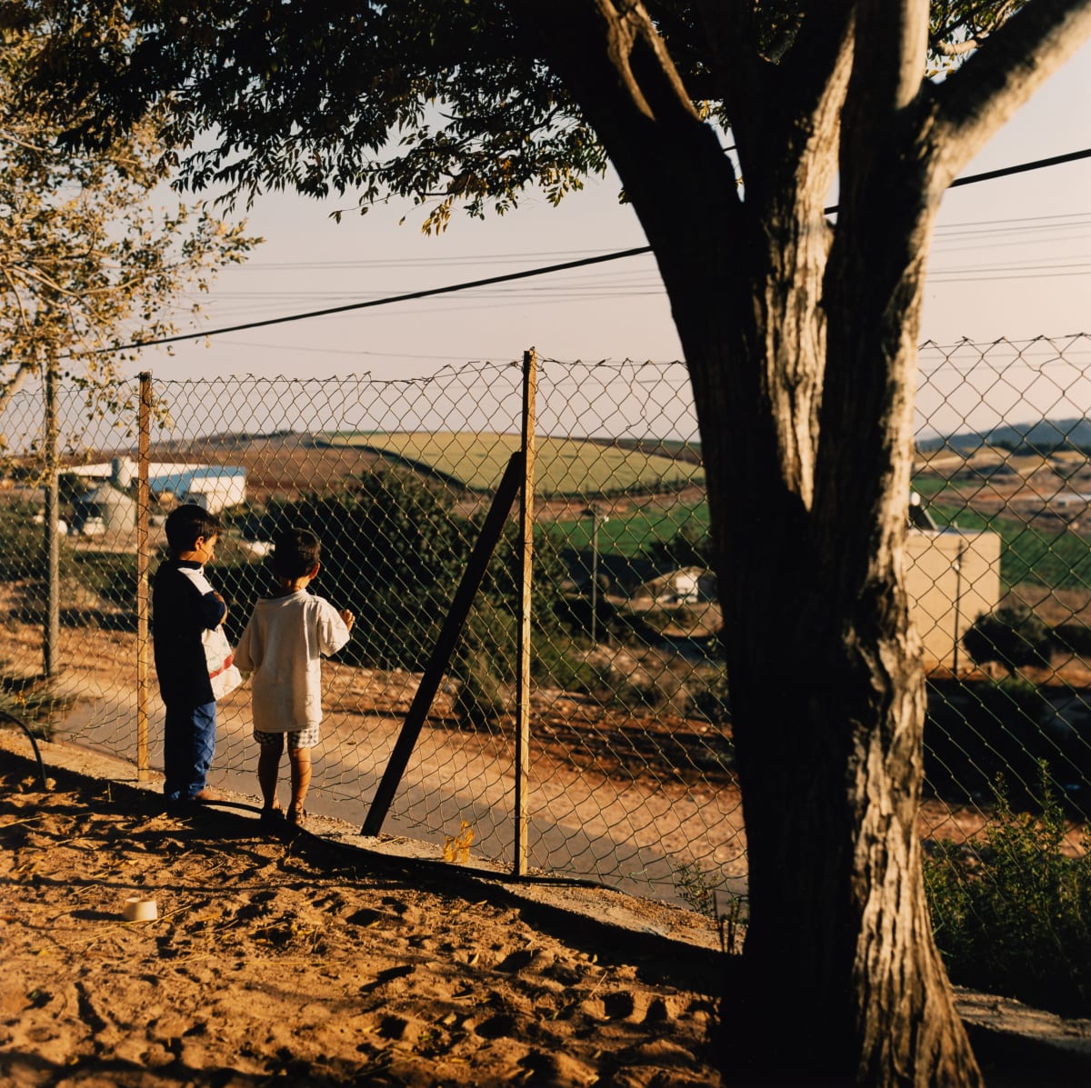 Children Looking out through the Fence, Kibbutz Ma'aleh Gilboa (Galilee, Israel) by Amie Potsic 