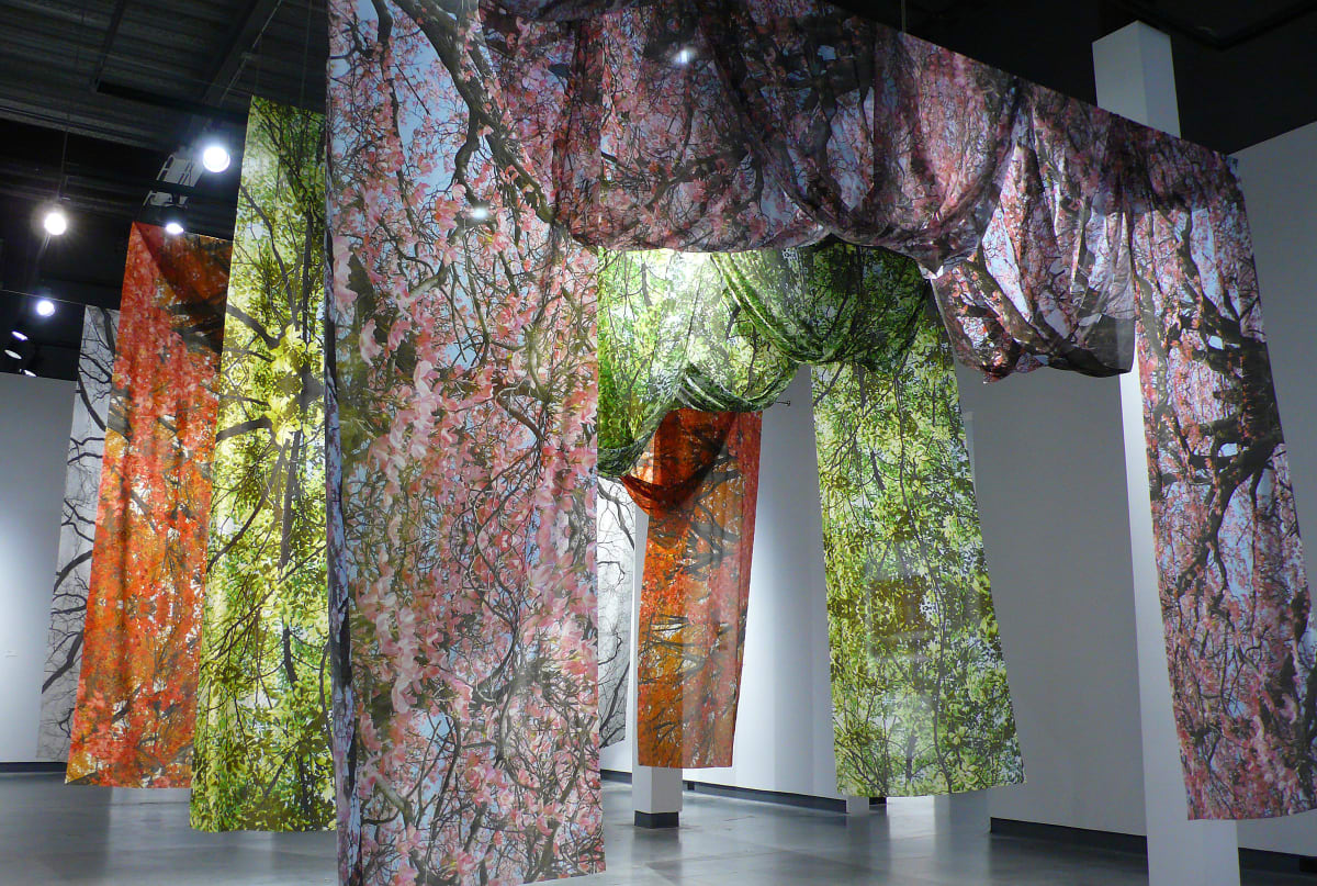 Endangered Seasons, Image 3.