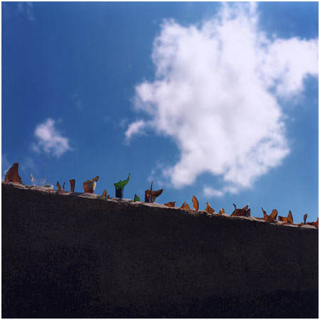 Tropicália #5, Image 1.