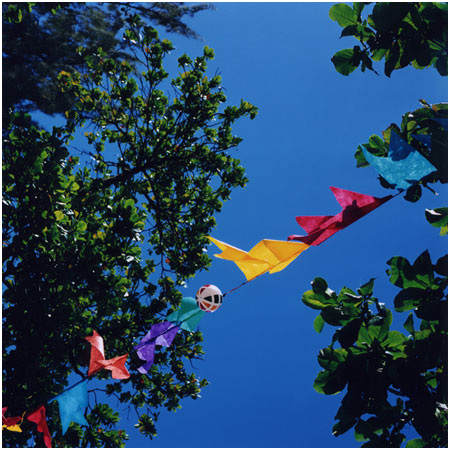 Tropicália #17, Image 1.