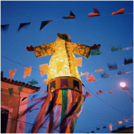 Tropicália #13, Image 1.
