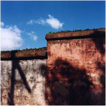 Tropicália #15, Image 1.