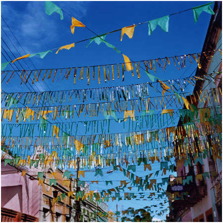 Tropicália #16, Image 1.