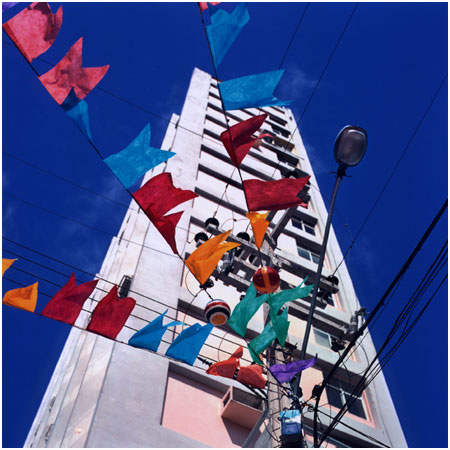 Tropicália #20, Image 1.