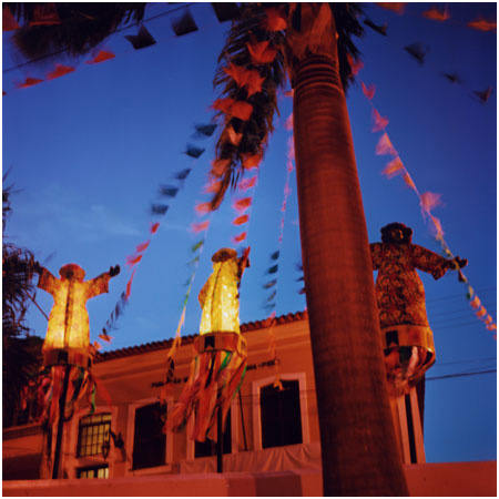 Tropicália #19, Image 1.