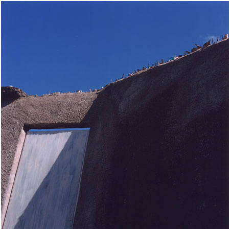 Tropicália #8, Image 1.