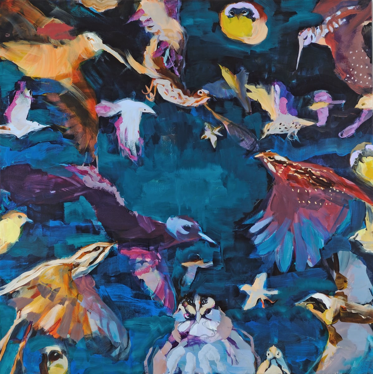 Collision Course  Image: Collision Course highlights the plight of local birds in DC: oven birds, common yellow throats, white throated sparrows, American woodcock, song sparrows and gray catbirds that are among the victims of glass collisions with buildings. Many of these migratory species are in decline.