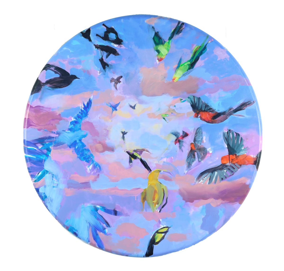 Out of This World by Sally Kauffman  Image: Magnificent frescoed ceilings and spring murmurations of starlings inspired my portrayals of the extinct Carolina Parakeet, Akialoa, Vermillion Flycatcher, Mysterious Starling and majestic Spix Macaw.