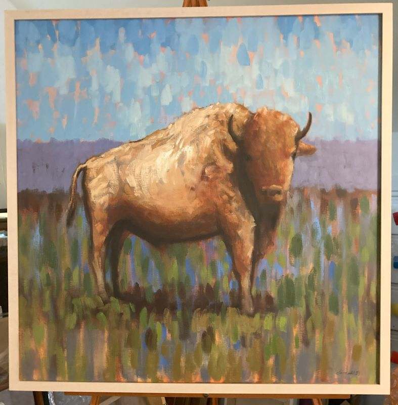 Buffalo Shuffle by CLAIRE HARDY, Image 1.