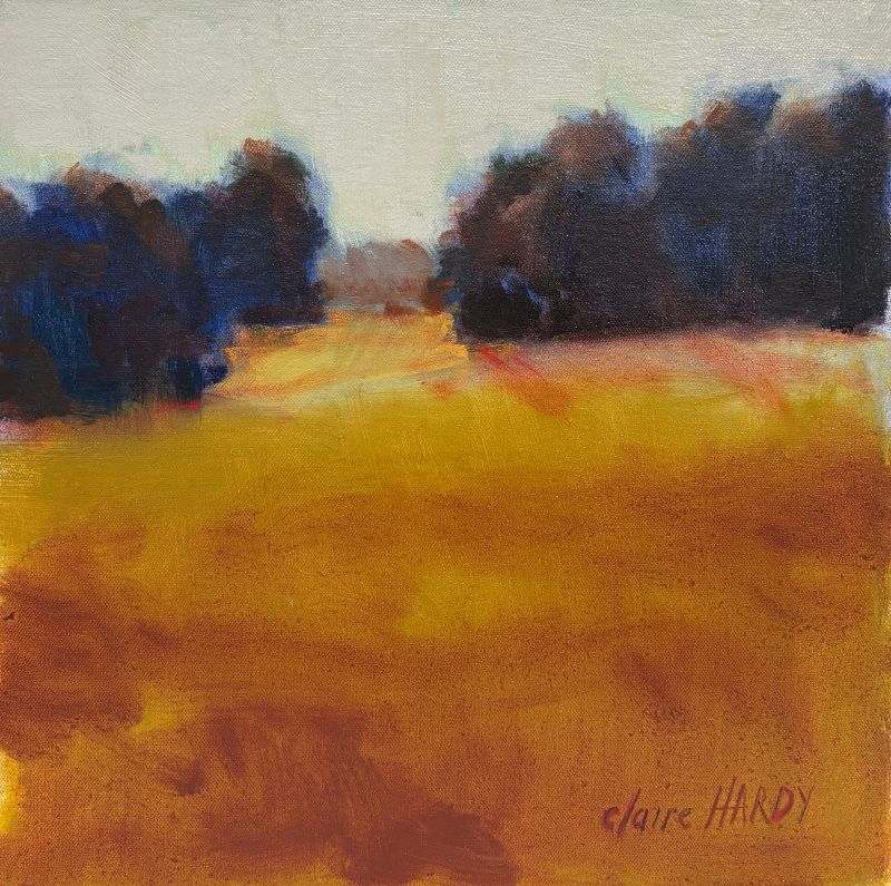 Ochre Fields by CLAIRE HARDY 
