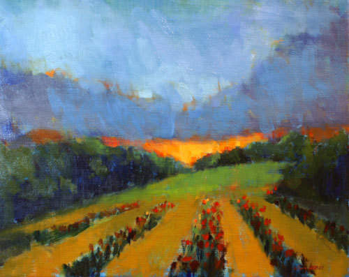 Changing Light by CLAIRE HARDY 