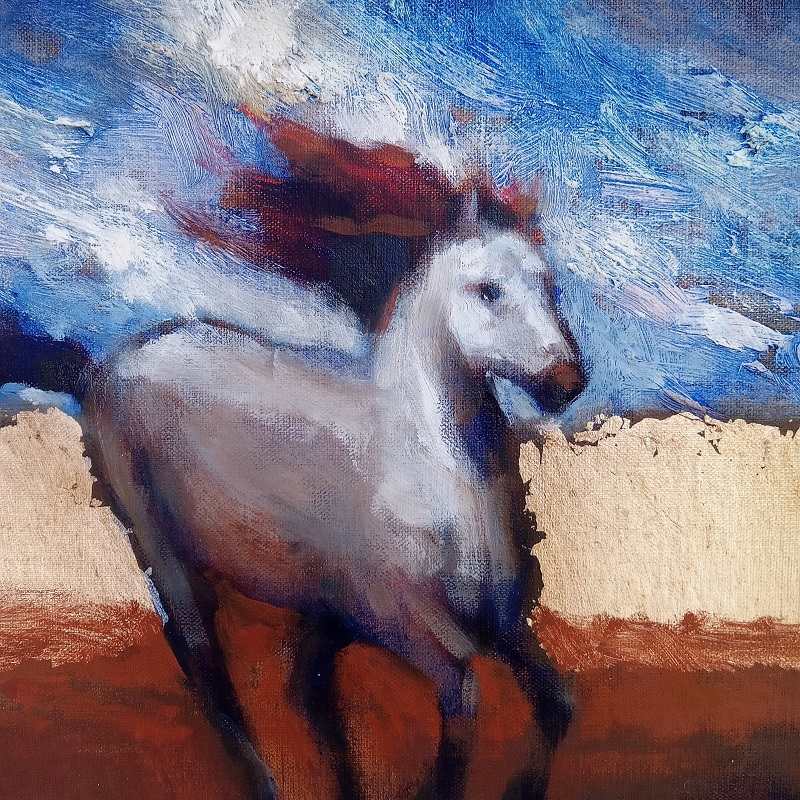 Freedom by CLAIRE HARDY 
