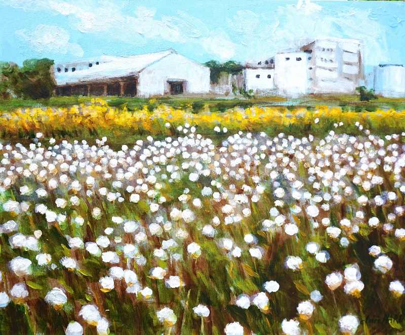 Wilson Fields by CLAIRE HARDY 