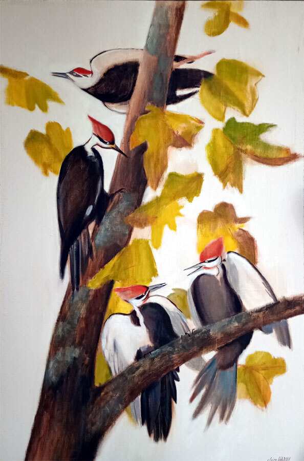 Woodpeckers after Audubon by CLAIRE HARDY 
