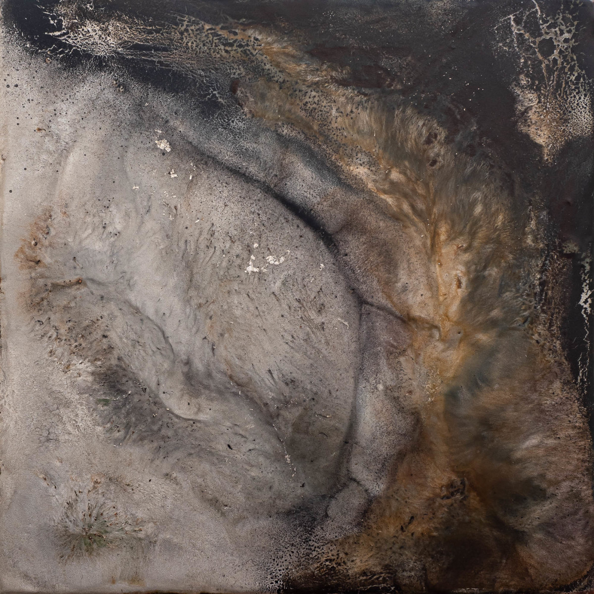 Julie_Brookman_9160001_uu1a6h_2 by Julie Brookman 