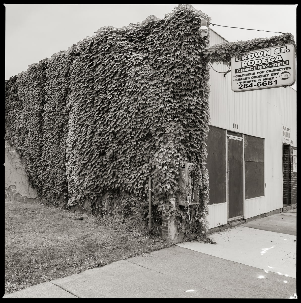 585.235.9596 – Shaibe Grocery, 810 Brown Street, Rochester, NY 14611 by Eric T. Kunsman  Image: ID: A black and white image shows a corner building where the left half is covered in vines and ivy. The ivy covers a payphone.  The right side of the building is sided and closed up.
