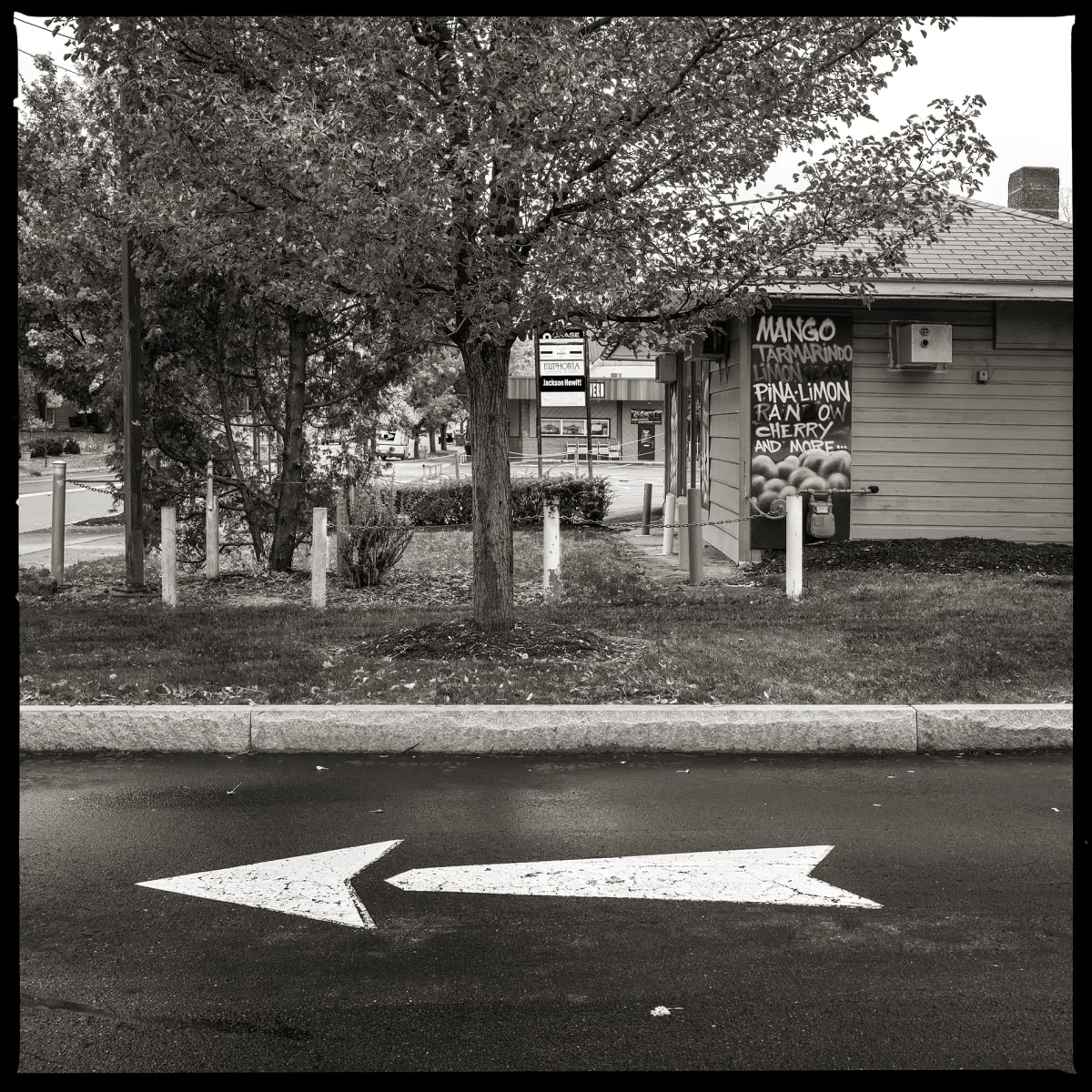 585.288.9518 – 2320 East Main Street, Rochester, NY 14609 by Eric T. Kunsman  Image: ID: A black and white image shows a street with a large white arrow pointing to the left. Behind the street there is a building to the right and trees to the left.