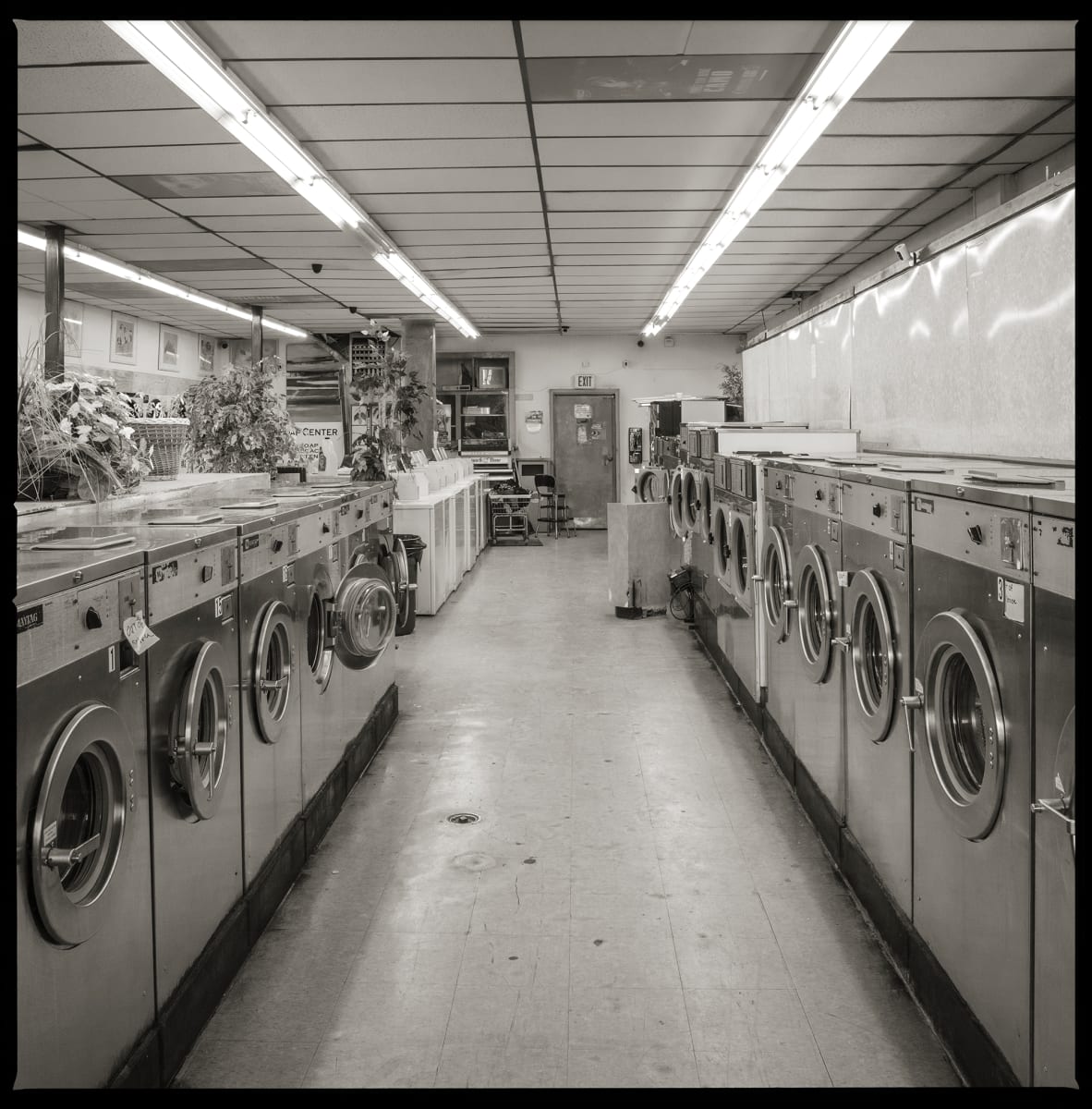 585.288.9850- Diamond Laundry, 836 North Goodman Street, Rochester, NY 14609 by Eric T. Kunsman 