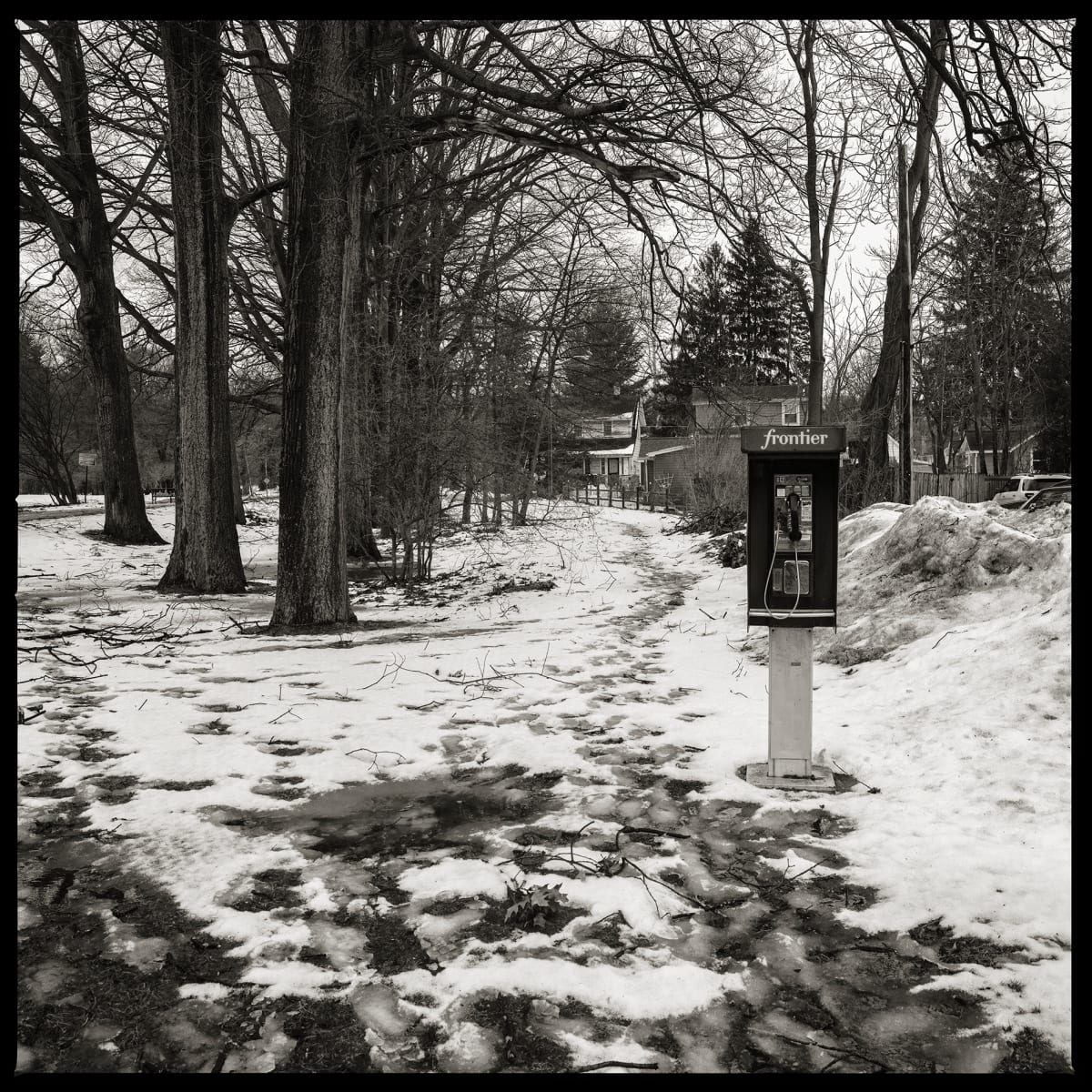 585.323.9830 – Monroe County Parks Department, 4355 Culver Road, Rochester, NY 14622 by Eric T. Kunsman  Image: ID: A black and white image shows a snowy path that has trees lining the left side and a payphone on the right.  There are evergreen trees in the background.