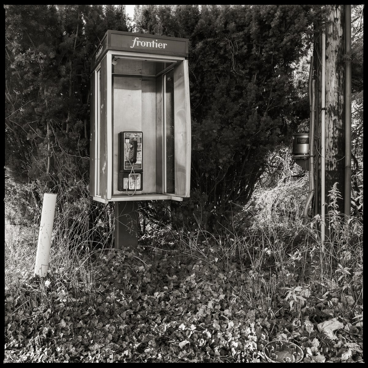 585.671.9814 – Bay Ridge Mobil, 420 Ridge Road, Webster, NY 14580 by Eric T. Kunsman  Image: ID: A black and white image shows a Frontier payphone standing amongst bushes and shrubbery.