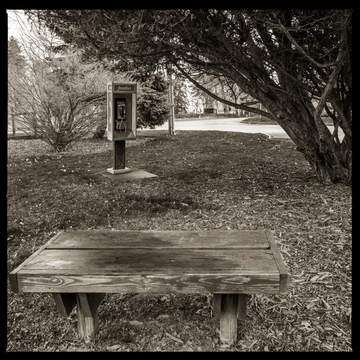 585.872.9870 – Monroe County Parks, 250 Holt Road, Webster, NY 14580 by Eric T. Kunsman  Image: ID: A black and white image shows a payphone standing in a park.  There is a wooden bench in front of the payphone and a large bush to the right.  There are also bushes behind the payphone.