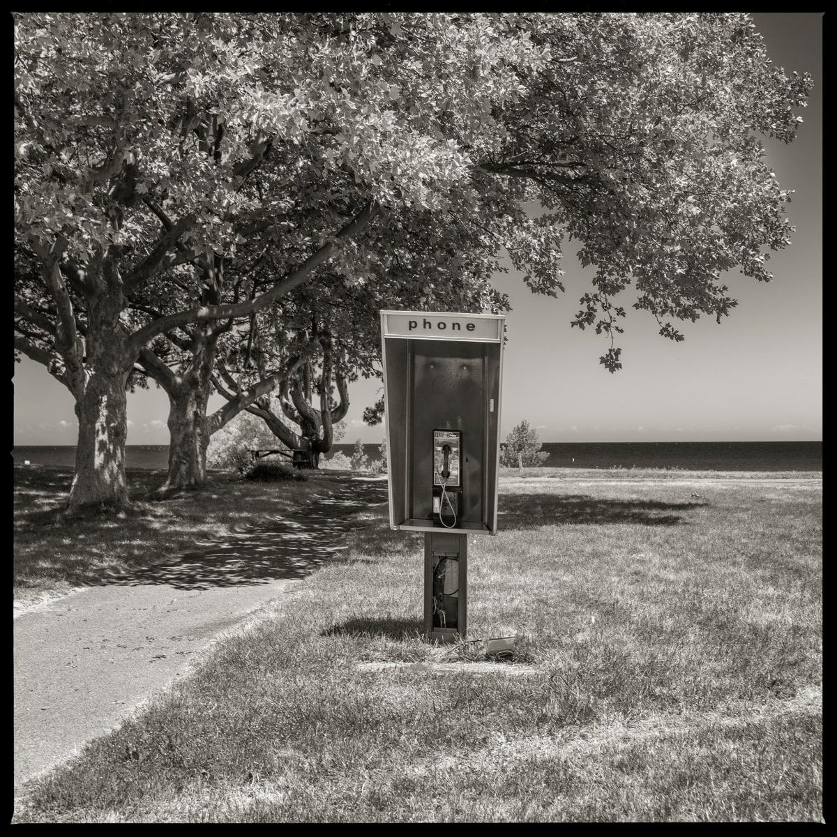 585.964.9801 – Hamlin Beach State Park, 4 Hamlin Beach Road, Hamlin, NY 14464 by Eric T. Kunsman  Image: ID: A black and white image shows a payphone stand in a park.  There are trees lining the left side of the sidewalk, which is to the left of the payphone.  The right side of the payphone is grassy.