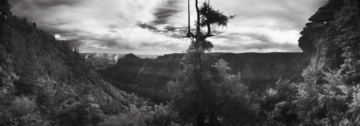Grand Canyon, North Rim by Eric T. Kunsman 