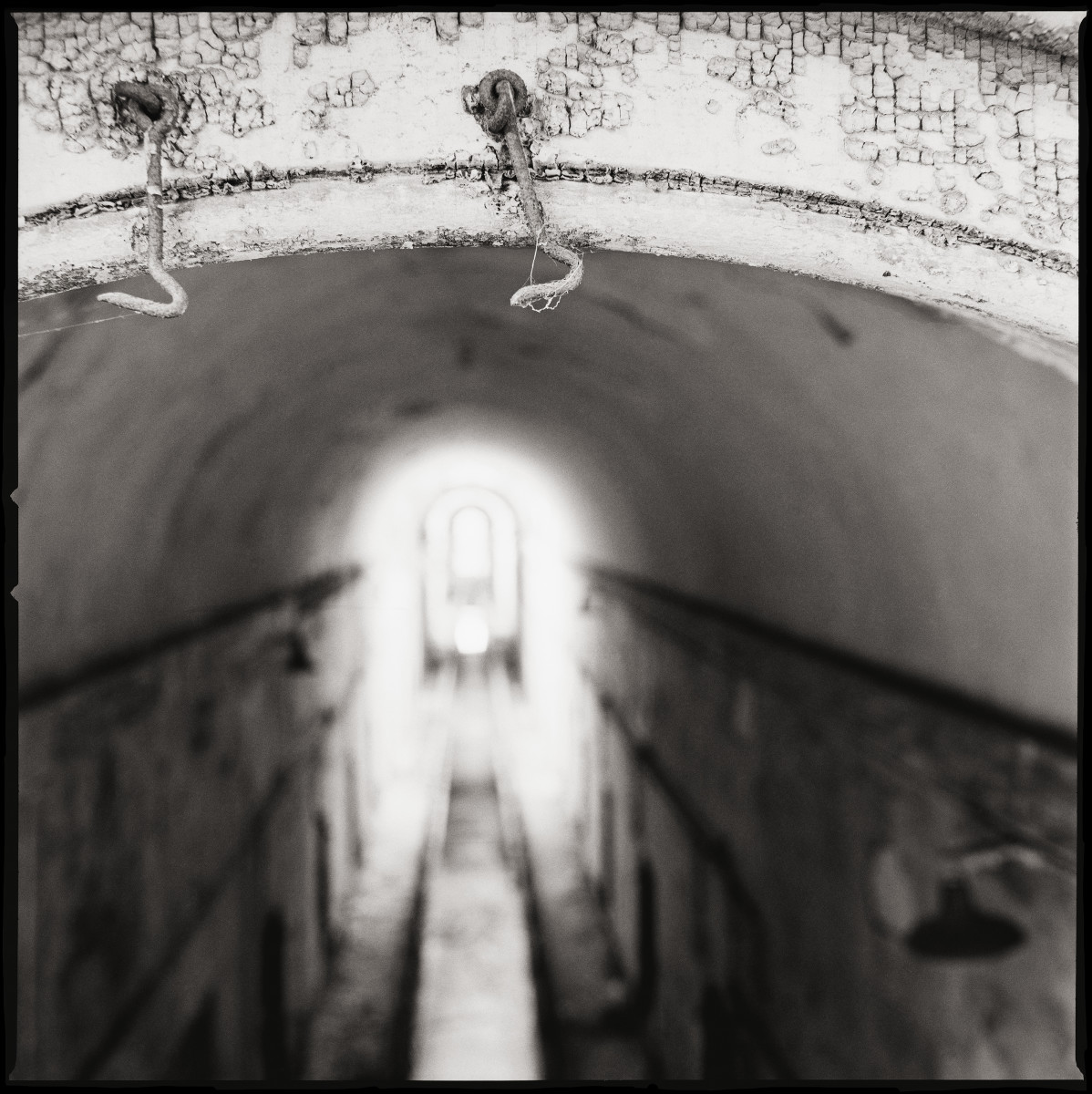 Cellblock #5 by Eric T. Kunsman  Image: ID: A black and white image shows a corridor from a high vantage point.  The corridor is in the background and out of focus. There are hooks on the ceiling that are in front and in focus.  