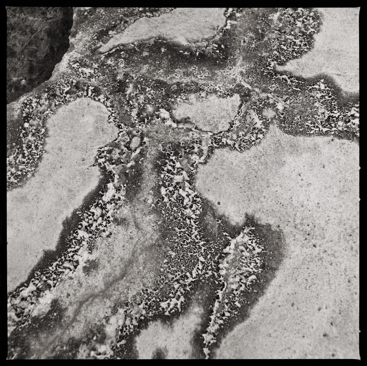 The Prisoner That Remians by Eric T. Kunsman  Image: ID: A black and white image shows a moss covered rock.  The moss vaguely has a human outline.