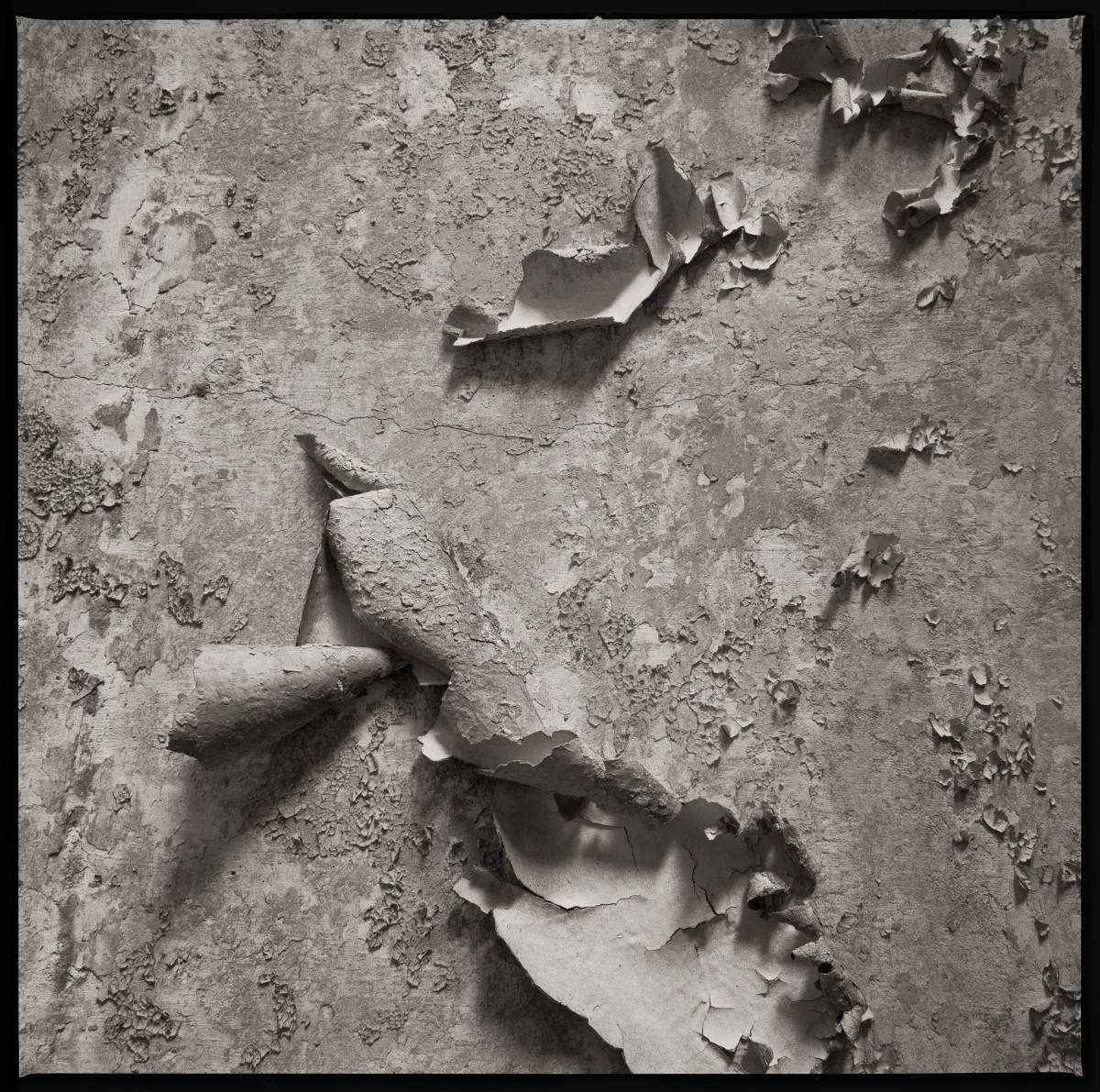 Passing of Time by Eric T. Kunsman  Image: ID: A black and white image shows paint curls and dirt and dust on the floor.